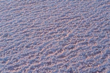 Pembe tuz kristalleri doğal arka plan. Genichesk son derece tuzlu göl (kristal tuz kalıntılarıyla mikro algler tarafından renklendirilmiş), Ukrayna.