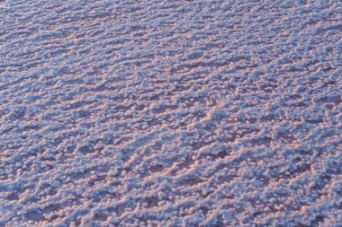 Pembe tuz kristalleri doğal arka plan. Genichesk son derece tuzlu göl (kristal tuz kalıntılarıyla mikro algler tarafından renklendirilmiş), Ukrayna.