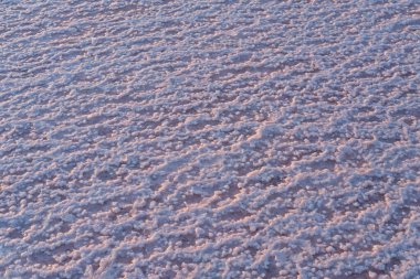 Pembe tuz kristalleri doğal arka plan. Genichesk son derece tuzlu göl (kristal tuz kalıntılarıyla mikro algler tarafından renklendirilmiş), Ukrayna.