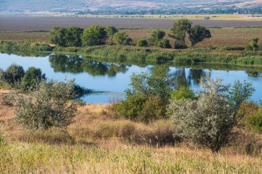 Pivdennyi Buh Nehri, Mykolaiv Bölgesi, Ukrayna.