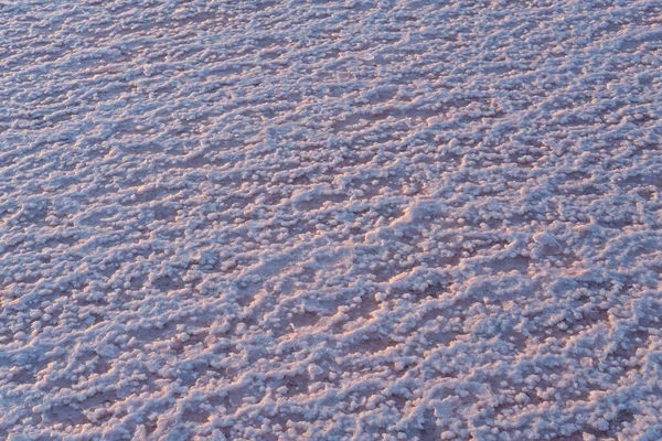 ピンクの塩の自然の背景の結晶 Genichesk非常に塩辛い湖 結晶塩堆積物と微細藻類によって着色 ウクライナ — ストック写真