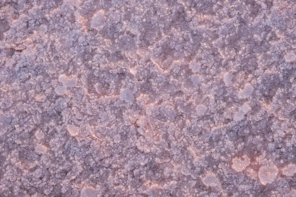 粉红盐天然底色结晶 Genichesk极咸湖 带结晶盐沉淀物的微藻 乌克兰 — 图库照片