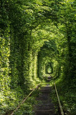 Aşk Tüneli (Ukrayna, Klevan yakınlarındaki ormanda demiryolu bölümü. Bu isimden dolayı daha önce köyün yakınlarındaki bir kız ve eski bir askeri birliğin askerleri randevuya çıkmışlardı.).