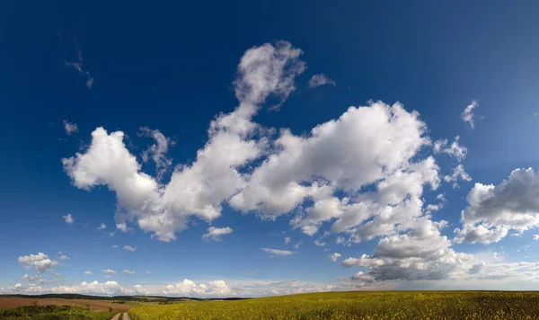 Weiße Kumuluswolken Blauen Himmel Über Frühlingshaften Rapsfeldern Ländlichen Hügeln Und — Stockfoto