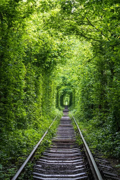 Love Tunnel Tronçon Ferroviaire Situé Dans Forêt Près Klevan Ukraine — Photo