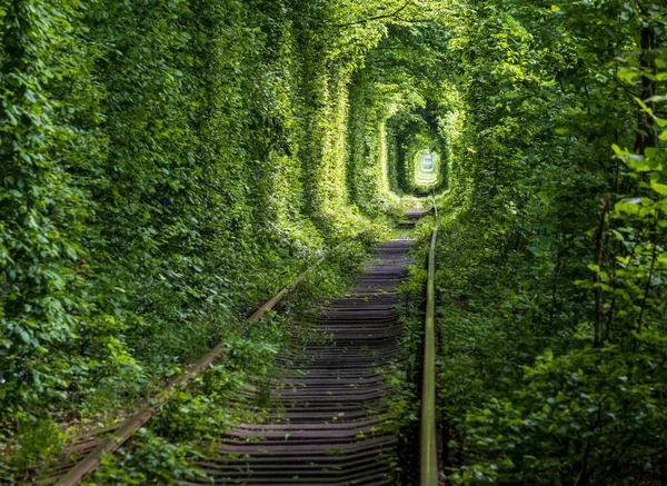 Love Tunnel Seção Ferroviária Localizada Floresta Perto Klevan Ucrânia Assim — Fotografia de Stock