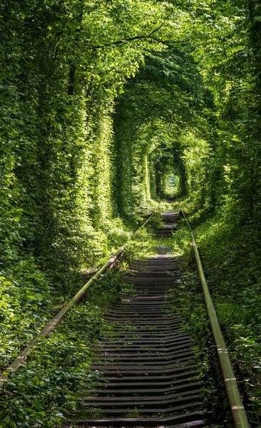 Love Tunnel Tronçon Ferroviaire Situé Dans Forêt Près Klevan Ukraine — Photo