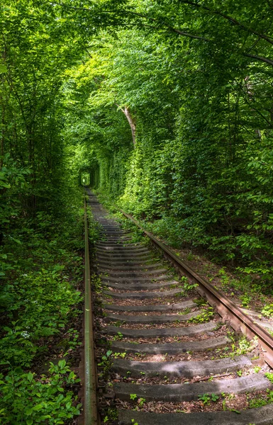 Love Tunnel Seção Ferroviária Localizada Floresta Perto Klevan Ucrânia Assim — Fotografia de Stock