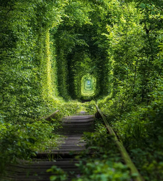 Love Tunnel Tronçon Ferroviaire Situé Dans Forêt Près Klevan Ukraine — Photo
