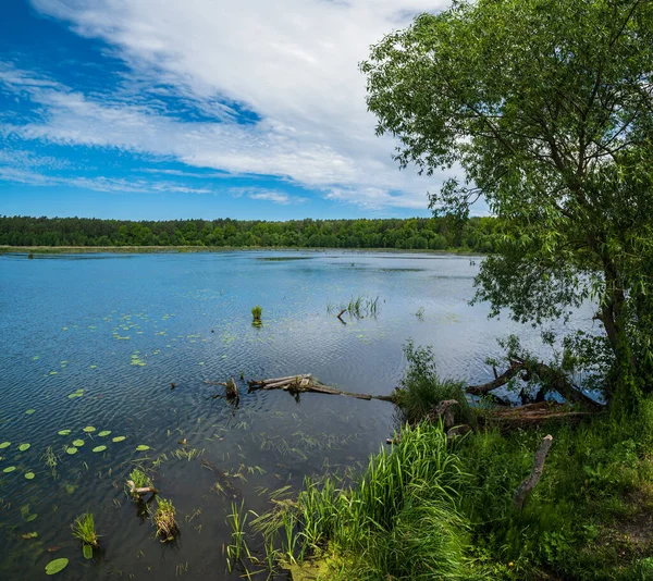 Letní Krajina Údolí Uspěchané Jezero Krajina — Stock fotografie