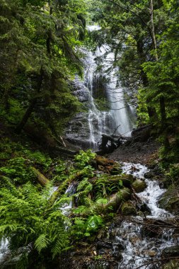 Resimli yaz Yalyn şelalesi, Ukrayna Karpat Dağları 'nın en yüksek şelalesi, Marmaros.