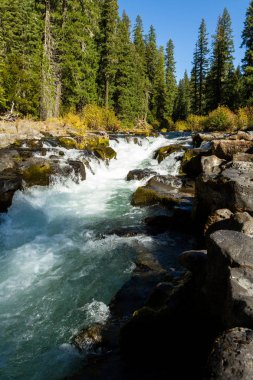 Rouge Nehri Güney bölümünü lav akan Oregon kayalar ve birkaç altın sonbahar yaprakları ile tüpleri