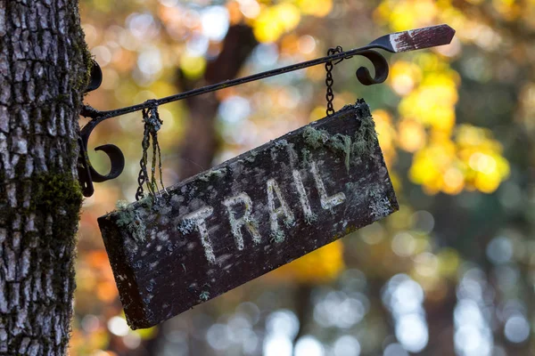 close up of an old sign hanging from an oak tree marking a walking trail with golden autumn colors in the background