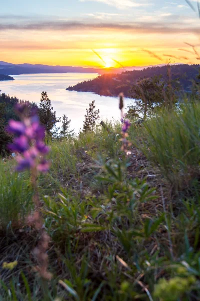 Magnifique Coucher Soleil Haut Sentier Randonnée Populaire Dans Nord Idaho — Photo