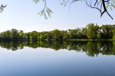 sakin sahne mükemmel bir su birikintisi sakin yüzeyinde yansıtan canlı yeşil bahar ağaçları ile