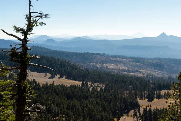 Vista Desde Parque Nacional Crater Lake Una Sección Del Bosque — Foto de Stock