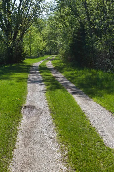 砾石路到达穿过草甸由春天绿色森林围拢 — 图库照片