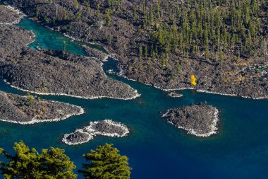 Bir altın sonbahar ağaç ve Derinlik düzeyleri gösterilen renkli temiz su ile Sihirbazı adasının sahilleri, yakın çekim