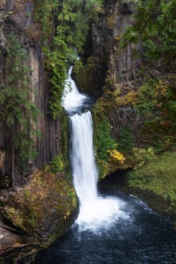 Antik sütunlar halinde bazalt oyulmuş falls yaklaşık 120 feet bırak. Bulutlu bir günde geç Ekim altın bazı mevsimsel önemli noktaları ile çekilmiş fotoğrafı