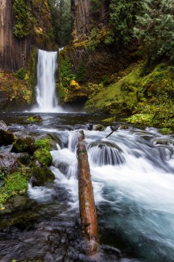 Antik sütunlar halinde bazalt oyulmuş falls yaklaşık 120 feet bırak. Bulutlu bir günde geç Ekim altın bazı mevsimsel önemli noktaları ile çekilmiş fotoğrafı