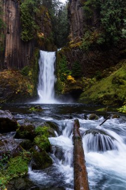 Antik sütunlar halinde bazalt oyulmuş falls yaklaşık 120 feet bırak. Bulutlu bir günde geç Ekim altın bazı mevsimsel önemli noktaları ile çekilmiş fotoğrafı