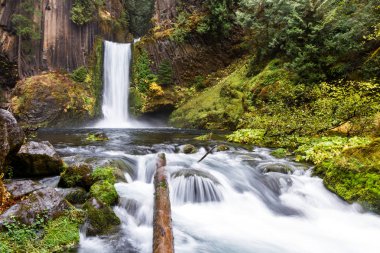 Antik sütunlar halinde bazalt oyulmuş falls yaklaşık 120 feet bırak. Bulutlu bir günde geç Ekim altın bazı mevsimsel önemli noktaları ile çekilmiş fotoğrafı