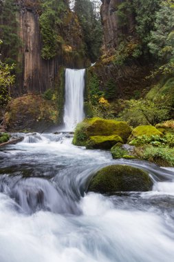 Antik sütunlar halinde bazalt oyulmuş falls yaklaşık 120 feet bırak. Bulutlu bir günde geç Ekim altın bazı mevsimsel önemli noktaları ile çekilmiş fotoğrafı