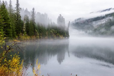 Toketee su deposu su yüzeyinde biraz ruh hali ekleme düşük bir sis ile yansıtan sonbahar renkleri ile güzel manzara