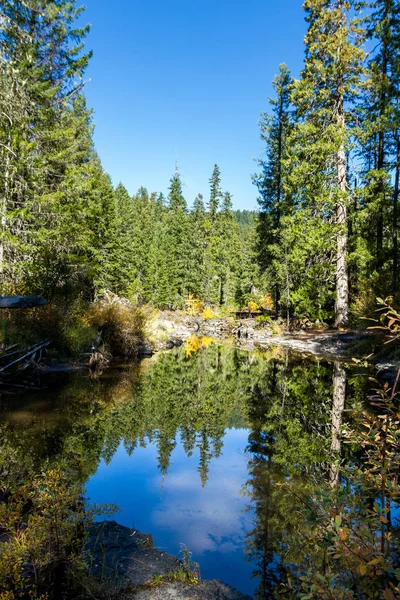 Škeble Část Řeky Rouge Jižním Oregonu Krásnou Reflexi Trochu Barvy — Stock fotografie