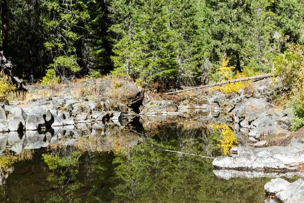 Muschelabschnitt Des Rouge Flusses Südlichen Oregon Mit Einem Schönen Spiegelbild — Stockfoto