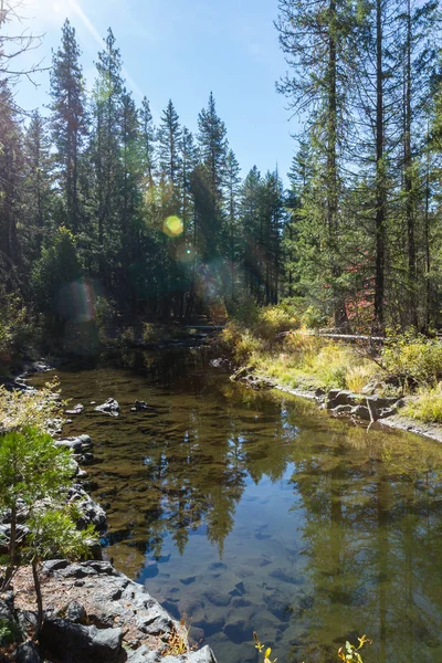 Škeble Část Řeky Rouge Jižním Oregonu Krásnou Reflexi Trochu Barvy — Stock fotografie