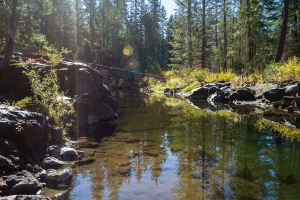 Kagyló Szakasz Rouge Folyó Déli Oregon Gyönyörű Tükrözi Egy Kis — Stock Fotó