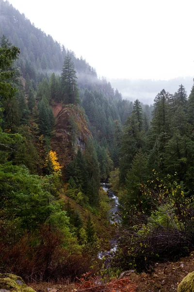 View Point Way See Toketee Falls Fog Mountains One Golden — Stock Photo, Image