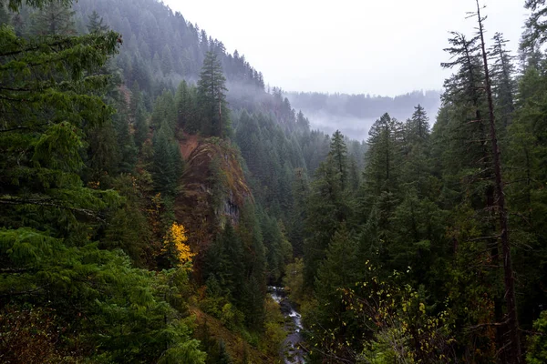 View Point Way See Toketee Falls Fog Mountains One Golden — Stock Photo, Image