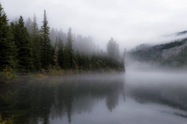 Toketee su deposu su yüzeyinde biraz ruh hali ekleme düşük bir sis ile yansıtan sonbahar renkleri ile güzel manzara