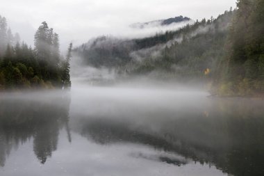 Toketee su deposu su yüzeyinde biraz ruh hali ekleme düşük bir sis ile yansıtan sonbahar renkleri ile güzel manzara