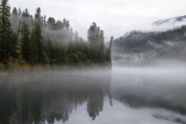 Toketee su deposu su yüzeyinde biraz ruh hali ekleme düşük bir sis ile yansıtan sonbahar renkleri ile güzel manzara