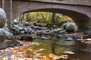 serene creek with large rocks and a golden glow from the leaves changing color in autumn clipart