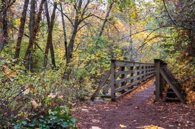 ahşap yürüyüş Köprüsü ile altın bir park Güney Oregon Güz sezonunda bırakır