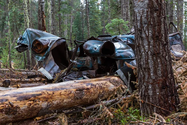 Staré Auto Činily Lesích Oregonu — Stock fotografie