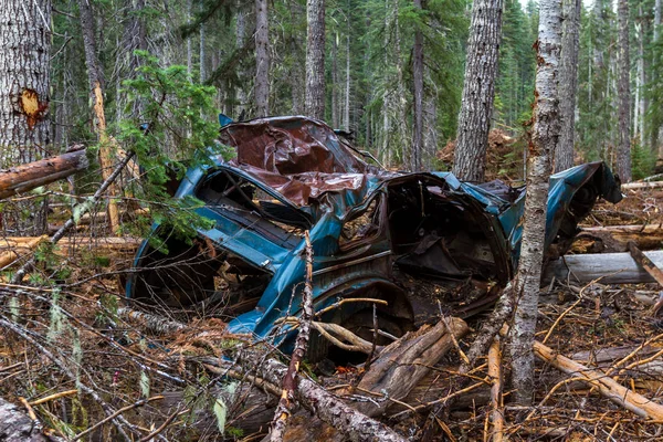 Staré Auto Činily Lesích Oregonu — Stock fotografie