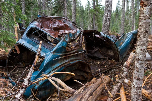 Staré Auto Činily Lesích Oregonu — Stock fotografie