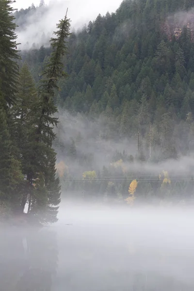 Piękny Krajobraz Kolorami Jesieni Odbicia Powierzchni Wody Zbiorniku Toketee Niskim — Zdjęcie stockowe
