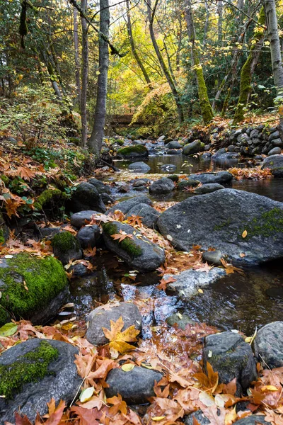 Torrente Sereno Con Grandi Rocce Bagliore Dorato Dalle Foglie Che — Foto Stock