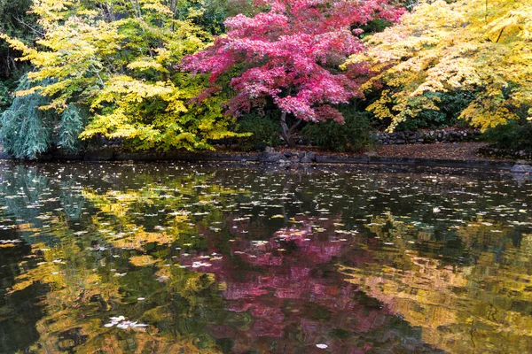 水面に浮かぶ葉の色の変化で秋の木々 の池の美しいカラフルな反射 — ストック写真