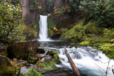 Antik sütunlar halinde bazalt oyulmuş falls yaklaşık 120 feet bırak. Bulutlu bir günde geç Ekim altın bazı mevsimsel önemli noktaları ile çekilmiş fotoğrafı