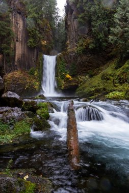 Antik sütunlar halinde bazalt oyulmuş falls yaklaşık 120 feet bırak. Bulutlu bir günde geç Ekim altın bazı mevsimsel önemli noktaları ile çekilmiş fotoğrafı