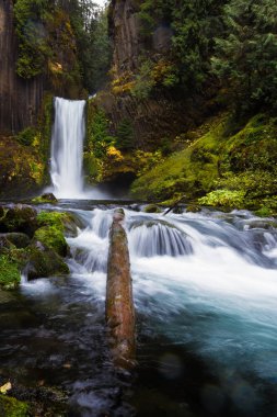 Antik sütunlar halinde bazalt oyulmuş falls yaklaşık 120 feet bırak. Bulutlu bir günde geç Ekim altın bazı mevsimsel önemli noktaları ile çekilmiş fotoğrafı