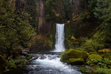 Antik sütunlar halinde bazalt oyulmuş falls yaklaşık 120 feet bırak. Bulutlu bir günde geç Ekim altın bazı mevsimsel önemli noktaları ile çekilmiş fotoğrafı