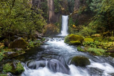 Carved from ancient columnar basalt the falls drop approximately 120 feet. Photo taken on a cloudy day late October with some golden seasonal highlights clipart